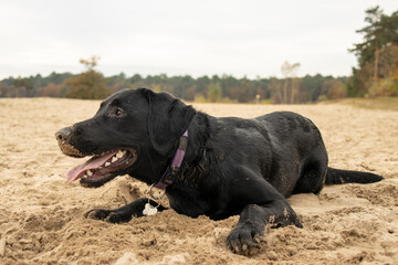 Liggend in het zand!