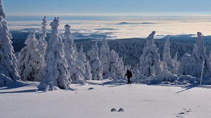 Man hiking in winter.