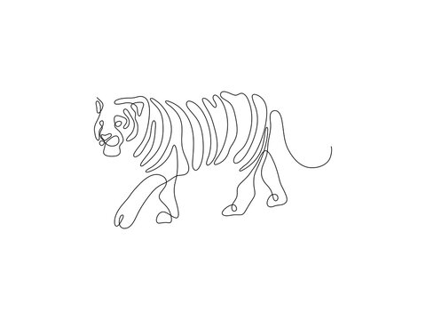 One line tiger design silhouette. Hand drawn minimalism style vector illustration.