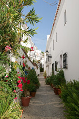Quiet street of the town of Frigiliana, a traditional white village in the mountain of the coast of Malaga - 467562040
