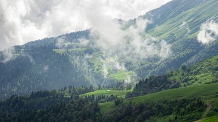 Mountain valley shrouded in clouds