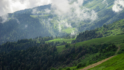Fototapeta premium Mountain valley shrouded in clouds