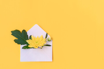 Flowers composition with envelope and yellow flowers on yellow background. Mockup, flat lay, top view, copy space