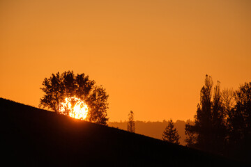 Sunrise huge sun behind a tree and hill landscape