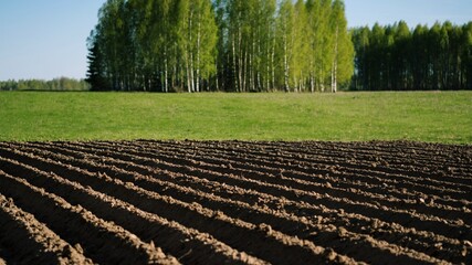 agricultural field that was plowed furrows for planting potatoes.