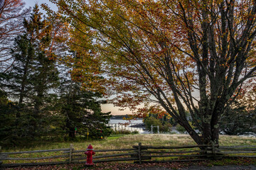 Maine-Mt. Desert Island-Northeast Harbor