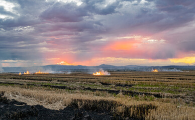 Sunset around the Albufera of Valencia (Spain)