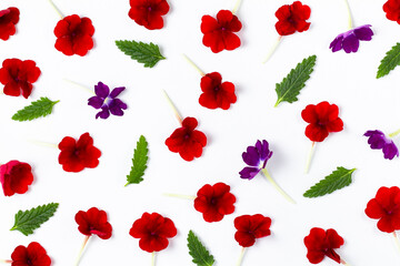 Flower composition. A pattern of bright red and purple flowers with green leaves isolated on white, copy space.