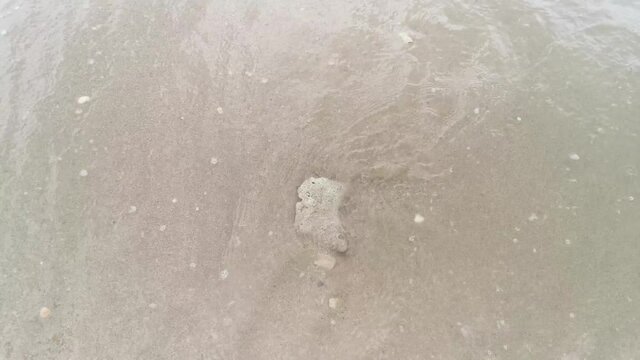 Gentle waves lap . corel on the beach