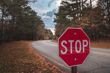 stop sign on the road