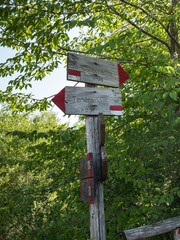 Wooden Arrows indicating the path in the Woods
