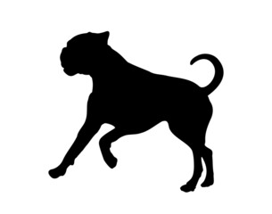 Black silhouette of a boxer dog