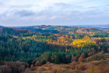 Fototapeta premium autumn landscape in the mountains