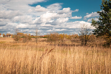 Autumn field against a cloudy sky 