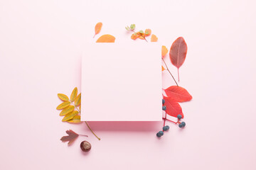 Autumn composition on a bright pink light background. Colored leaves. Autumn. Mockup for text.