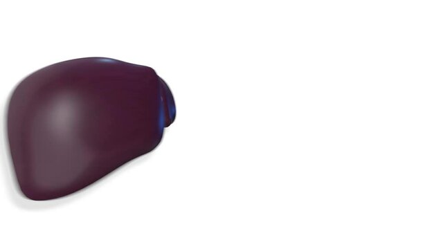 Liver, internal organs 3D render, anatomy of the human body, white background with luma matte for transparency.