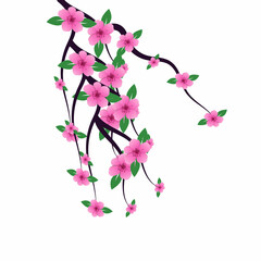 Sakura blossom branch. Falling petals, flowers. Isolated flying realistic Japanese pink cherry or apricot floral elements fall down vector background. Cherry blossom branch, flower illustration
