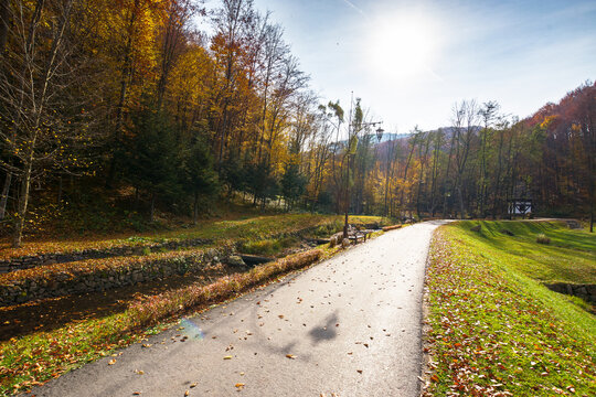 autumn scenery in the park. trees in fall foliage. beautiful landscape in mountains on a sunny day