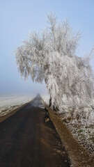 20161231_105146 Winter Landschaft