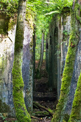 _DSC9014 Grubenbauwerke im Wald
