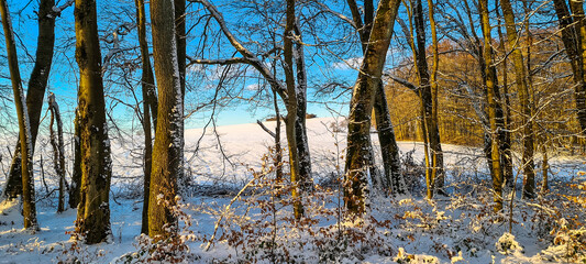 20210115_160926 Winterlandschaft