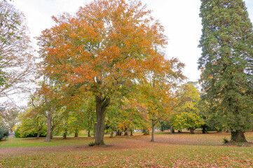 Aachen: Herbst