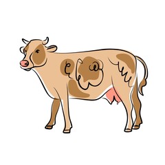 Hand-drawing cow. Cute cow. Vector illustration
