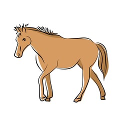 Hand-drawing horse. Cute horse. Vector illustration