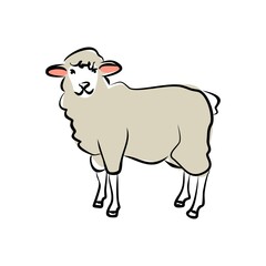 Hand-drawing sheep. Cute sheep. Vector illustration