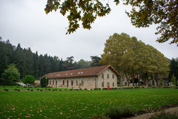 Historical building and forest in Istanbul. Glass museum building in Istanbul.