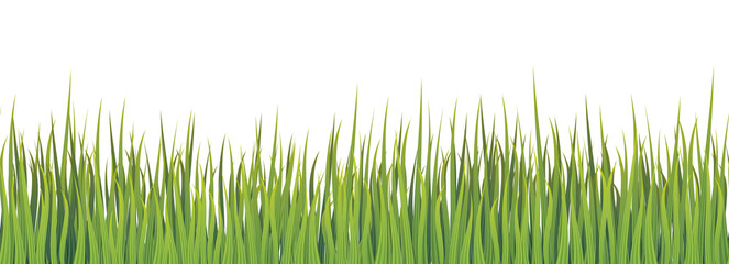 Green grass meadow seamless border vector pattern. Spring or summer plant field lawn background.