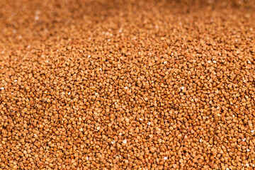 Fresh buckwheat background texture. Cereals and organic food concept