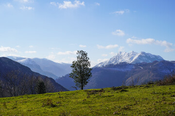 Fototapeta premium Pyrénées basques sous la neige