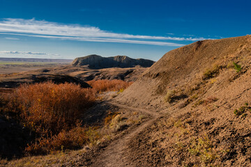 dunes in the desert