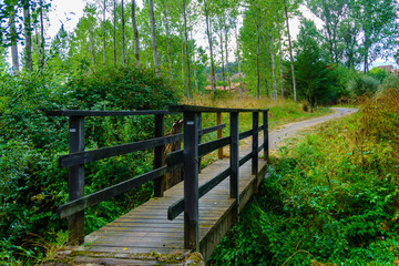 Fototapeta na wymiar Wooden bridge over a river that crosses a forest