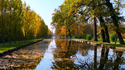 Fototapeta na wymiar goldener Herbst in Laxenburg 