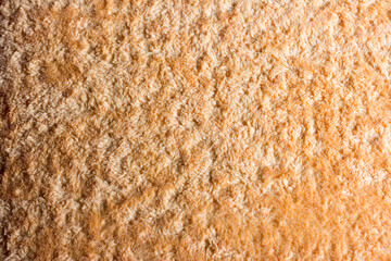 The tufted texture of the cotton fabric.