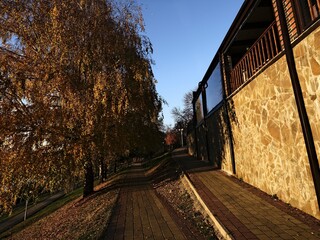 yellow autumn walkway near cafeteria