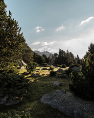 Landscape in the mountains.