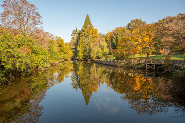 Autumun colors of the Sariyer, Istanbul