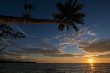 Fototapeta na wymiar Un coucher de soleil sur la plage de Kribi avec un palmier