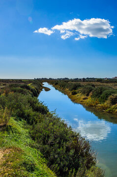 View Of The River
Ria Formosa , Faro 