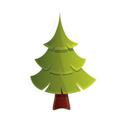 Christmas green tree or pine tree Concept for Christmas holiday