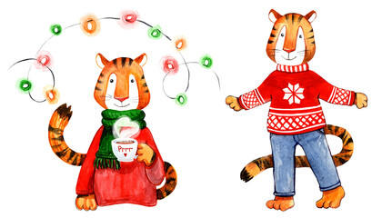 Set of New Years illustrations with cute Chinese tiger in sweater and garland for festive decor. Hand-drawn and isolated on a white background