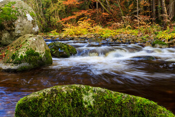 Herbststimmung an dem Fluss Alb im Schwarzwald, auf dem Wanderweg Albsteig, Baden-Württemberg, Deutschland