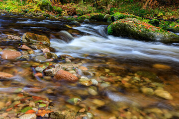 Herbststimmung an dem Fluss Alb im Schwarzwald, auf dem Wanderweg Albsteig, Baden-Württemberg,...