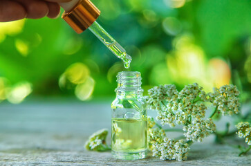 Tincture of yarrow in a bottle. Selective focus.