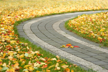 Chodnik, ścieżka jesienią, zakręt. - obrazy, fototapety, plakaty