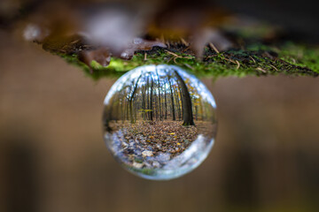 Glaskugel liegt auf Moos im Wald wie ein Wassertropfen umgedreht