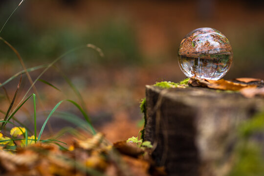 Glaskugel Kristallball liegt auf einem Baumstamm im Wald im Moos